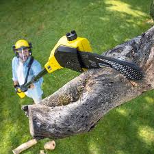 Best Lawn Pest Prevention  in Mountainair, NM